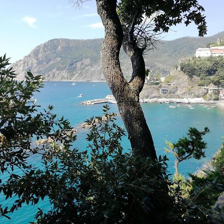 La Terrazza Sul Mare ☆☆☆☆☆ Monterosso Leilighet Monterosso al Mare Eksteriør bilde